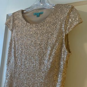 NWOT Champagne Sequined Dress